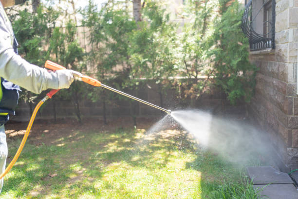 Seasonal Pest Control (e.g., summer mosquitoes, winter rodents) in Spencerport, NY